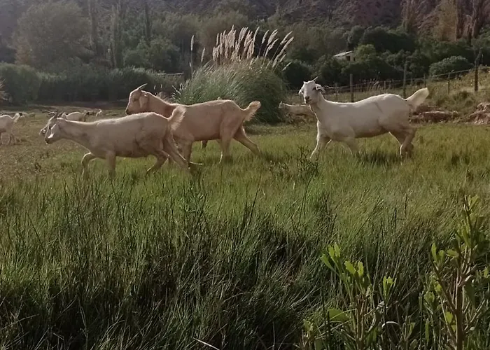 El Alfarero De Maimara